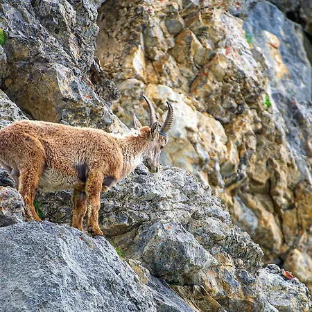 Nyaraló Am Arlberg Dalaas